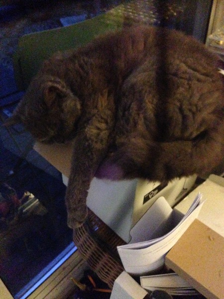This isn't what I ordered!