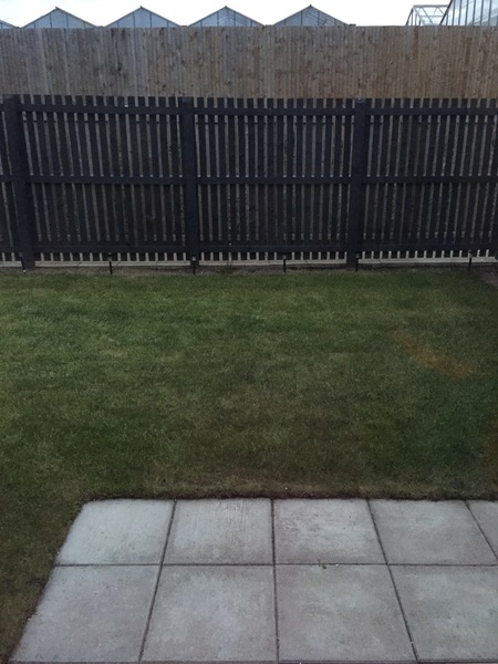 Creating privacy in rear garden