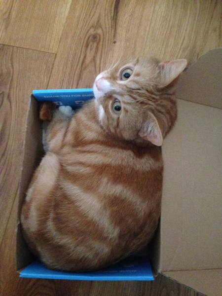 This isn't what I ordered!