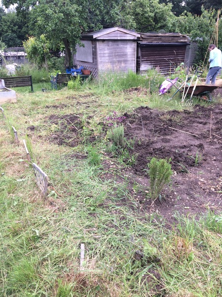 We are the Viroid Warriors! We are practising our PMAs and stockpiling the rare FRERs, come join us for the continued BFP boom...it's only bloody JS 60!!!