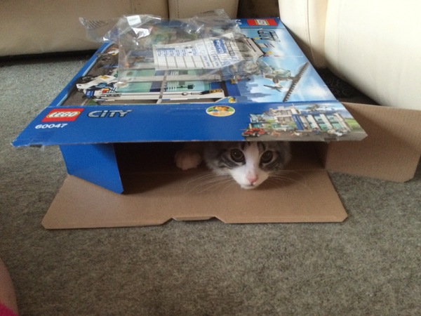 This isn't what I ordered!