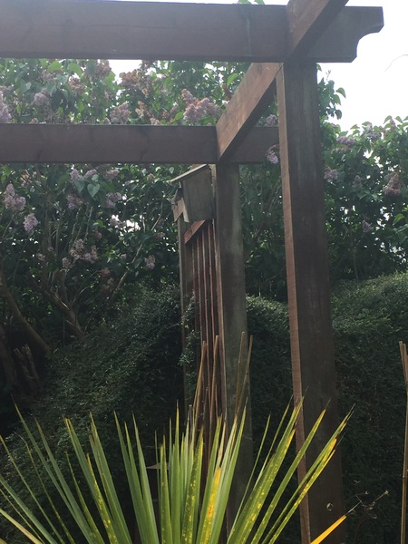 Our Girl and Captain James Addicts XXXV