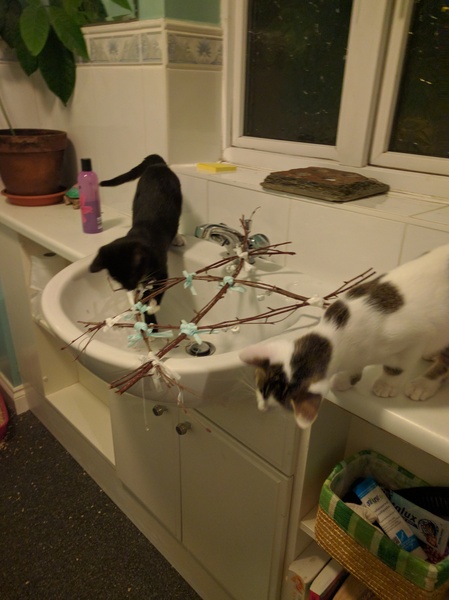 This isn't what I ordered!