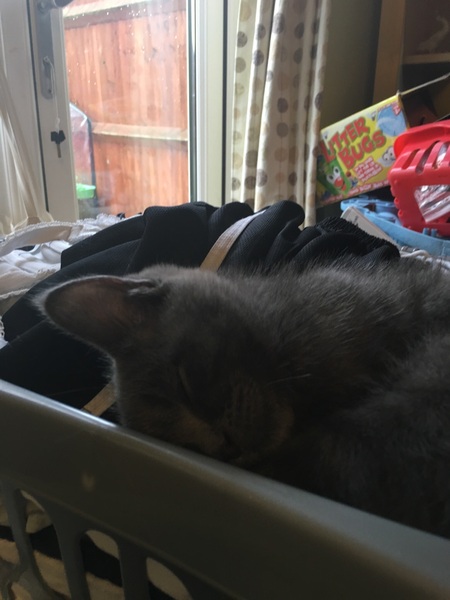 D' ya ever wonder if we'll get through in one piece?