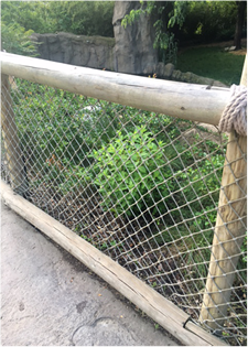 To think it's unfair to blame the mother of child hurt by gorilla?