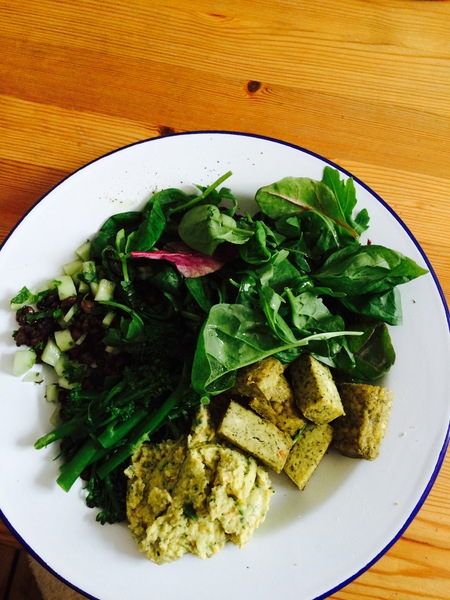 My big fat 800 calorie blood sugar diet diary, all welcome