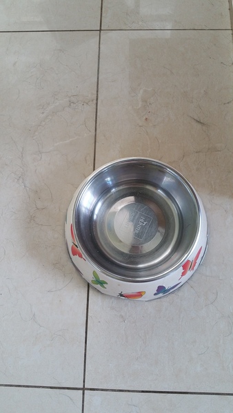 black labrador, area, pale tiled floors, moulting. out of control