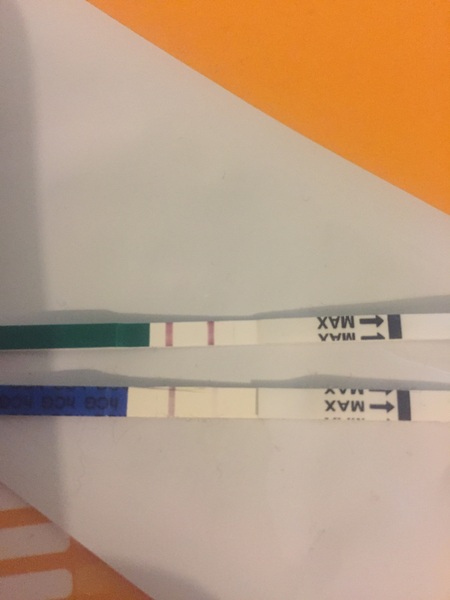 Due in February 2017...thread #2!