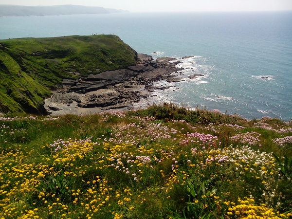 To want to move to Cornwall so badly
