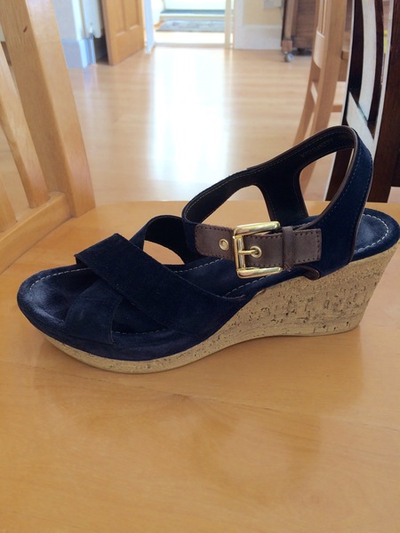 Wedding help ... I have these shoes ..