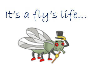 Brian the fly- Bedtime Stories