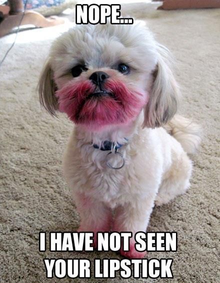to think if this doesn't make you smile you might want check your pulse?