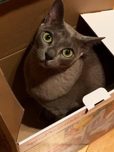 This isn't what I ordered!