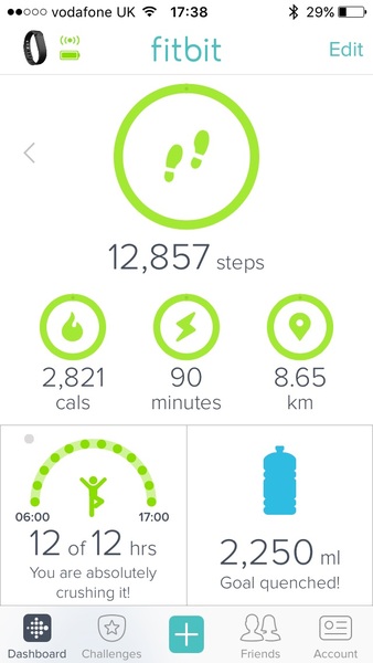 FitBit users