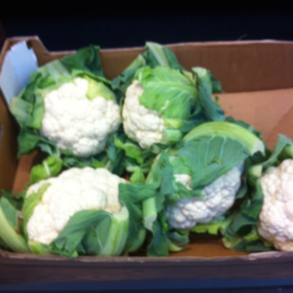 Week 4 - Pre-summer Low Carb Bootcamp: are you KOKO?!