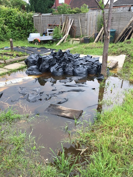 Allotment/Veg Patch Thread 6 -  Weed 'em and Reap!
