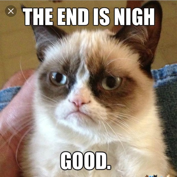 So the people were right about EU Superstate Military....