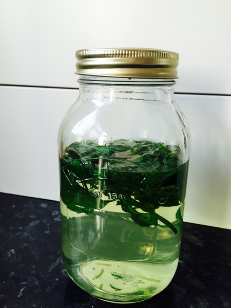 Week 3 - Pre-summer Low Carb Bootcamp - the choice is yours!