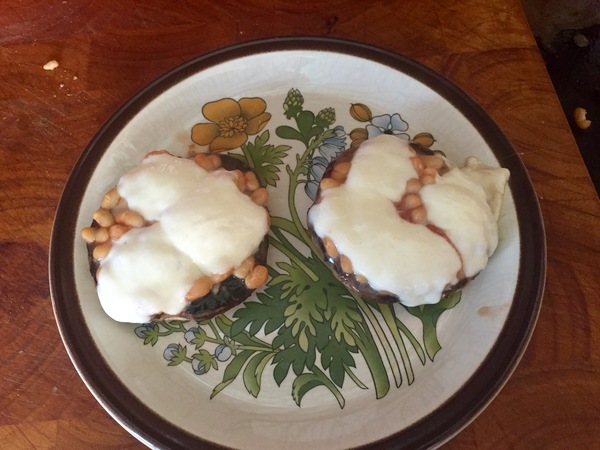 My big fat 800 calorie blood sugar diet diary, all welcome