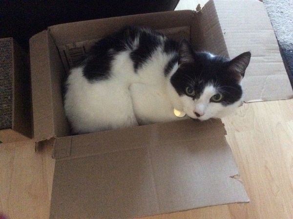 This isn't what I ordered!