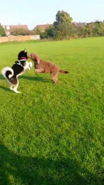 Due in February 2017