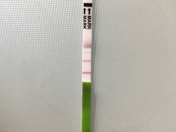 OPK