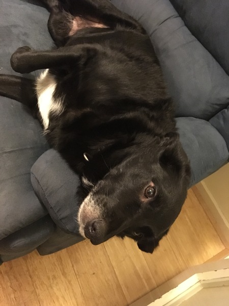 Photo thread anyone?