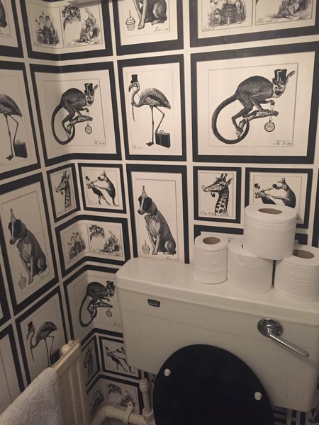 Help me decorate my downstairs loo!