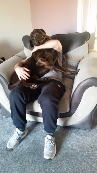 Thread #7 - TTC#1 Grads - Third Trimester Special