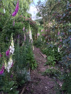 "in the midst of winter, I found there was within me, an invincible summer" Potting shed chat continues here