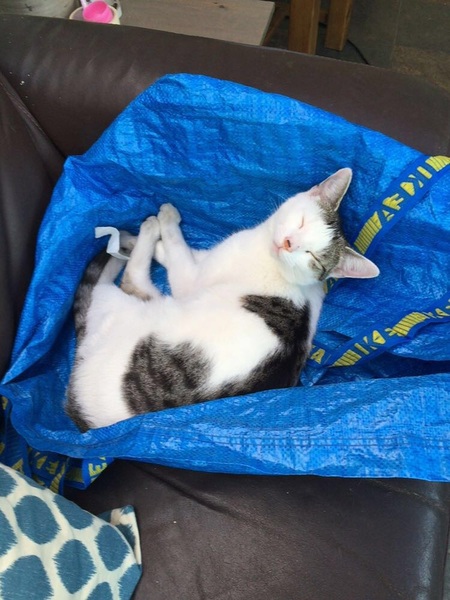 This isn't what I ordered!