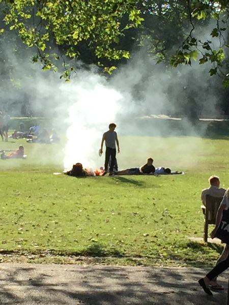 Save Highbury Fields