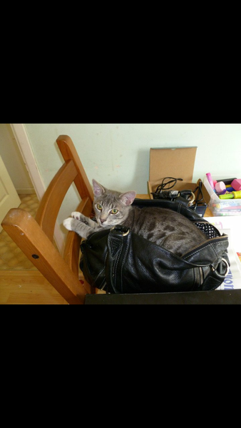 This isn't what I ordered!