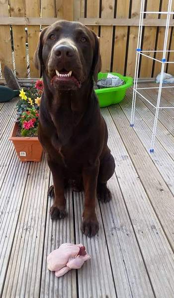 Thread #7 - TTC#1 Grads - Third Trimester Special