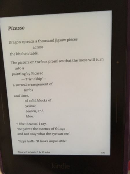 Anyone got One on kindle?