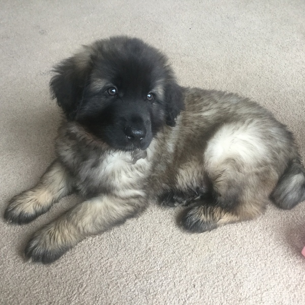 Photo thread anyone?