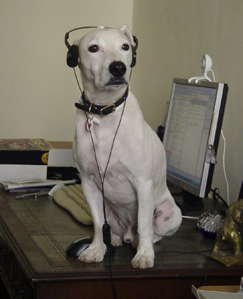 Take your dog to work day!