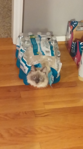 This isn't what I ordered!