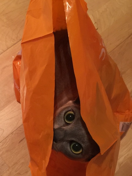 This isn't what I ordered!