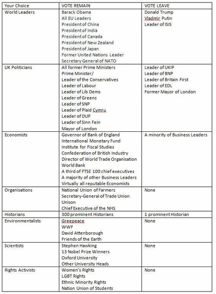 Why are all the twats voting leave?