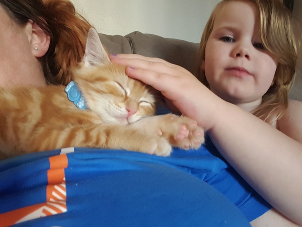 advice needed on my poorly cat