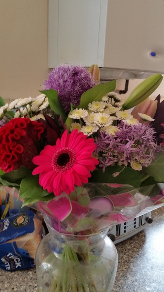 June 2016 #10 - the one where it's a pre and post natal thread