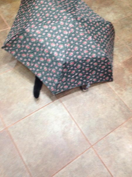 This isn't what I ordered!