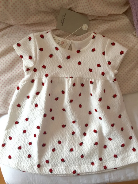 Thread #7 - TTC#1 Grads - Third Trimester Special