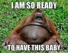 June 2016 #10 - the one where it's a pre and post natal thread