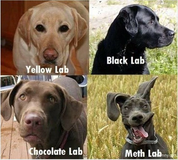 to think if this doesn't make you smile you might want check your pulse?