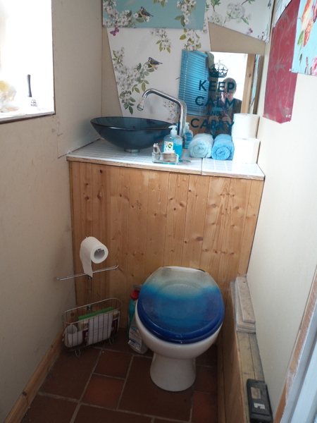 Would you mind showing me a picture of your downstairs toilet, please?