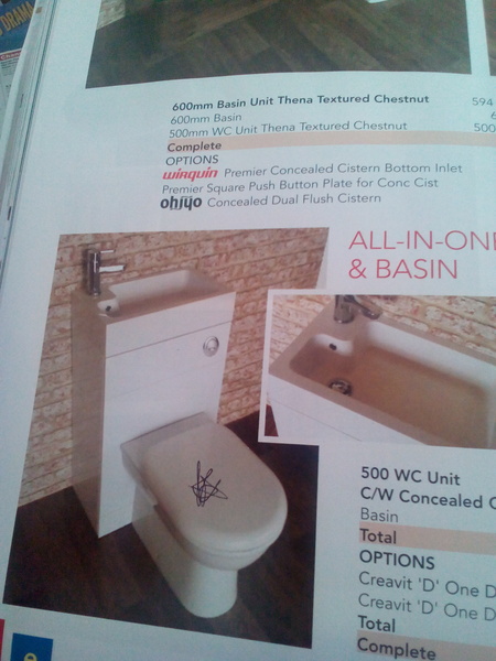 Would you mind showing me a picture of your downstairs toilet, please?