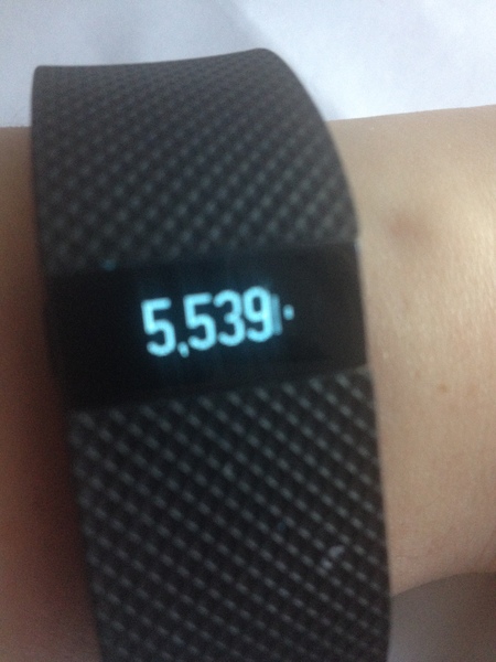 FitBit users