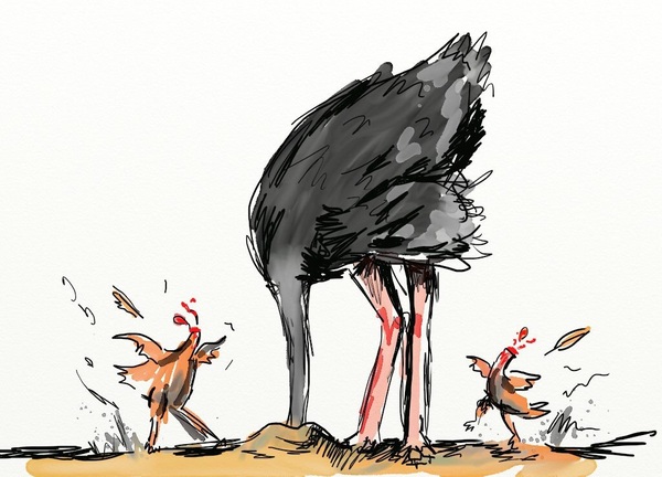 We need to pull together, grow a pair and GET ON WITH IT!